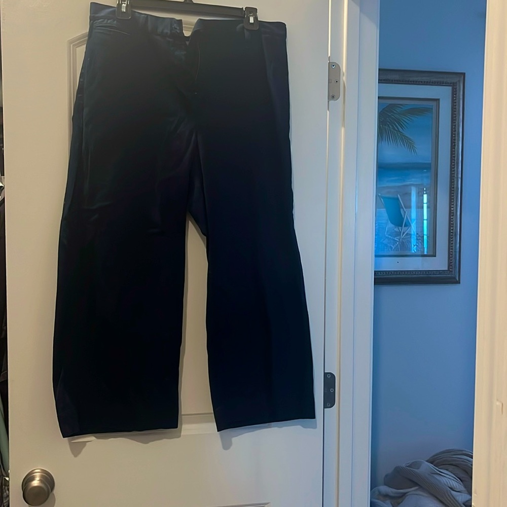 Navy blue ankle pants